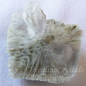 Tunellite Tunellite