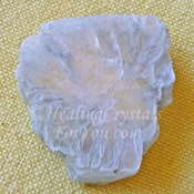 Tunellite Tunellite