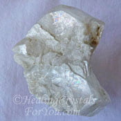 Tunellite Tunellite