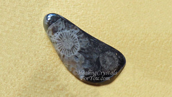 Vatican Stone wide 1