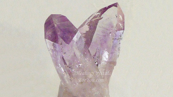 Vera Cruz Cross Formation Vera Cruz Cross Formation