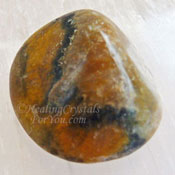 Bumble Bee Jasper Bumble Bee Jasper