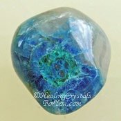 Quantum Quattro Quantum Quattro