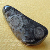 Vatican Stone Vatican Stone