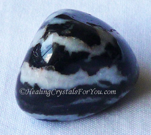 Zebra Rock Zebra Rock