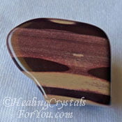 Zebra Stone Zebra Stone